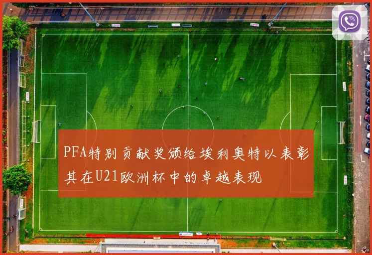 PFA特别贡献奖颁给埃利奥特以表彰其在U21欧洲杯中的卓越表现